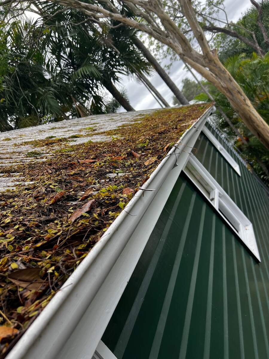 Gutter packed with leaf litter and debris before cleaning